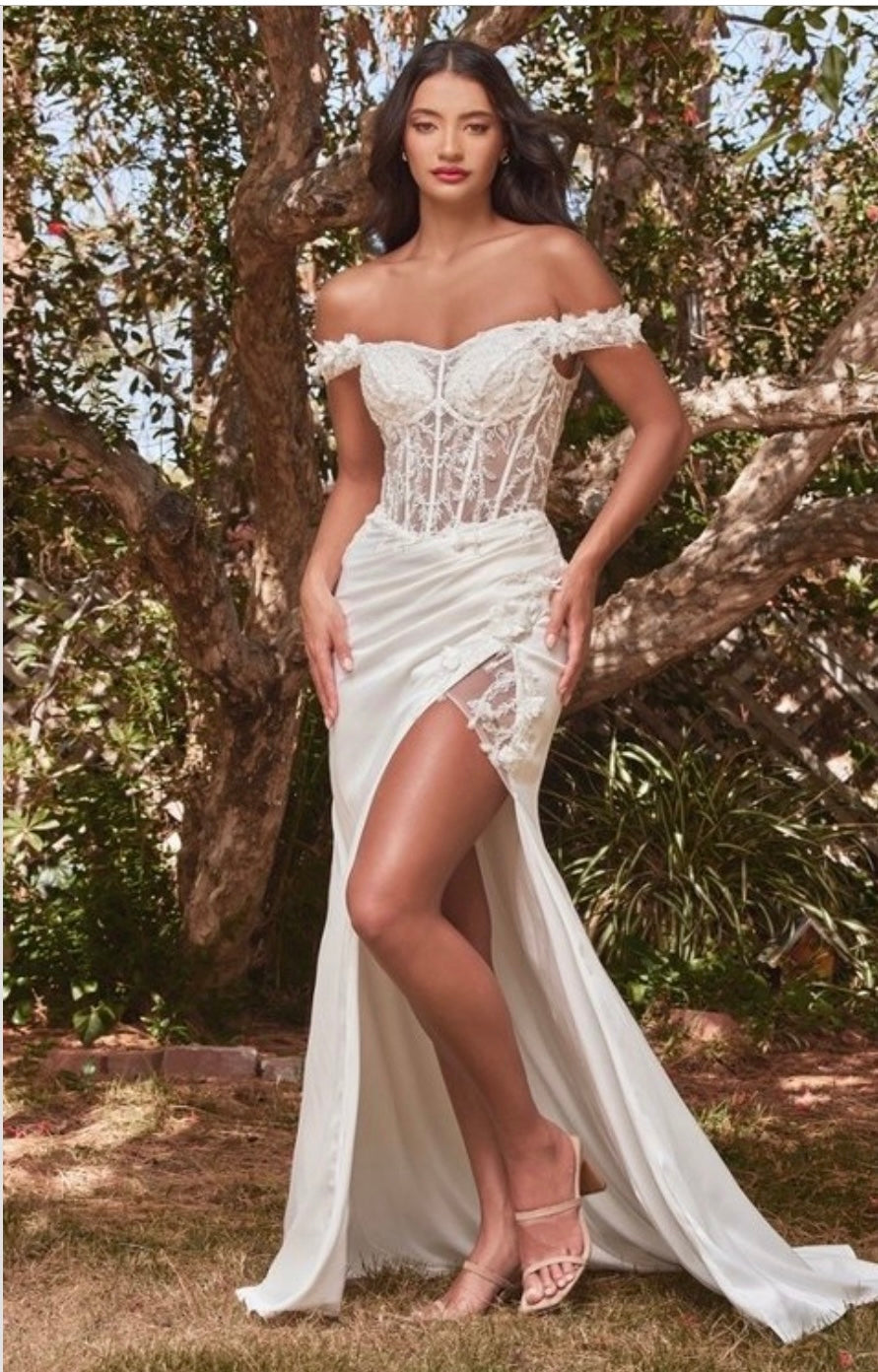 Bridal, Couture, High End