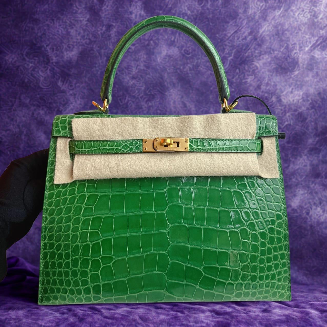 Hermes Kelly K25 Cactus shiny croc Ghw Y cites