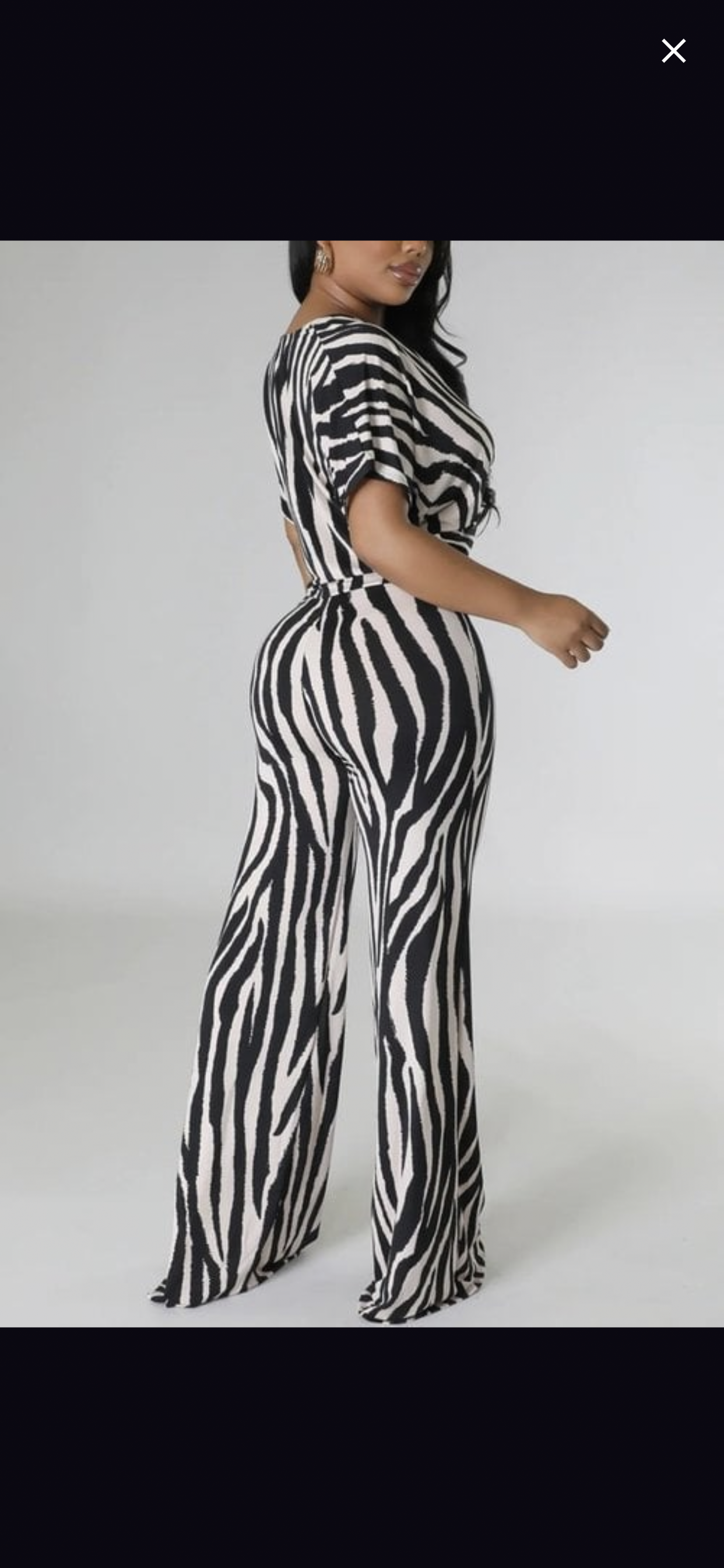 Zebra design set