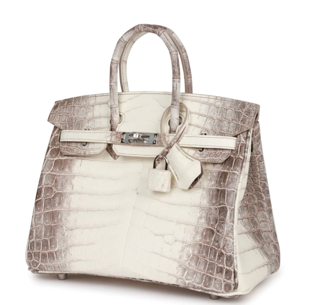 Matte Niloticus Crocodile Himalaya Birkin 25 Blanc