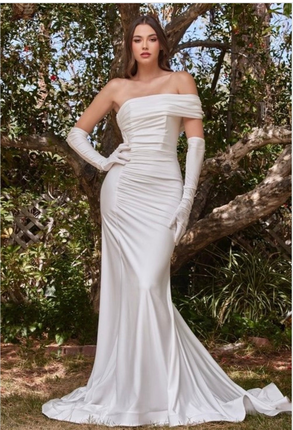 CD Dress