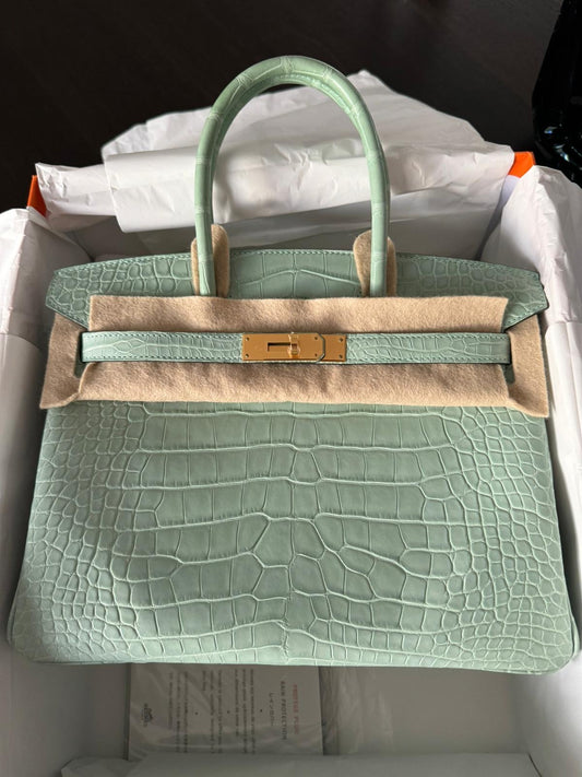 Hermes Birkin B25 aligator GHW